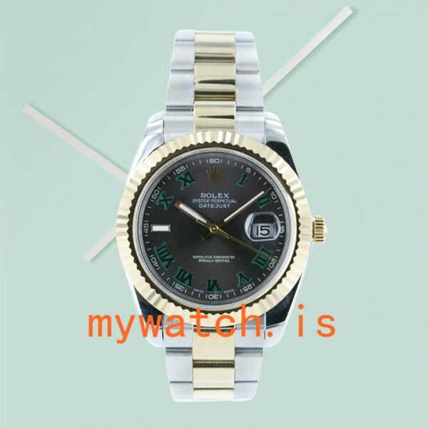 Rolex Datejust 116233GYRO Men's 36mm Silver-tone - Image 2