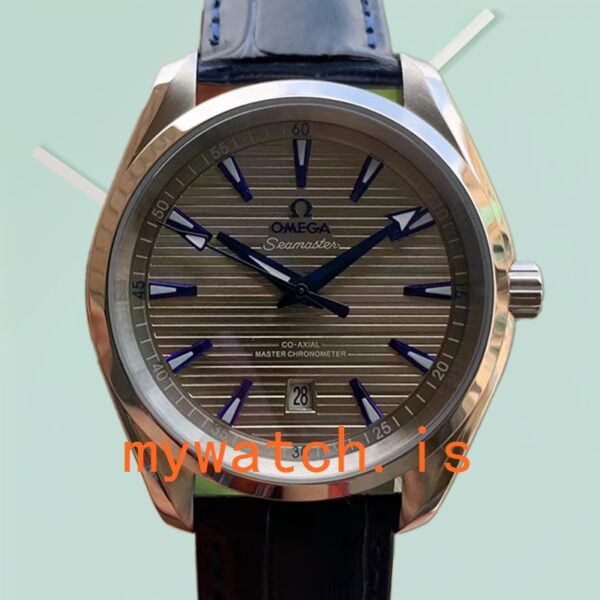 Omega Aqua Terra 41 mm 220.13.41.21.06.001 Men Strap