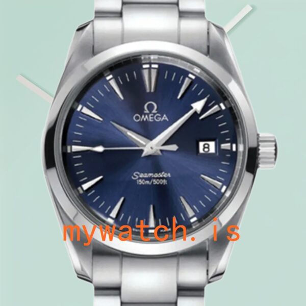 Omega Seamaster 41mm Men 2518.8 Silver-tone